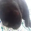 Roberto Lazaro - @robertolazaro9 - TikTok