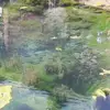 Robert Łazorczyk968 - @robertlazorczyk - TikTok