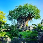 Robert Lear - @robertlear413 - Instagram