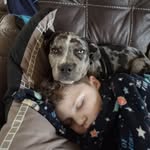 Robert Lear - @lear7459 - Instagram