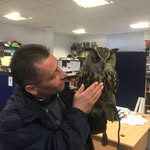 Robert Leask - @robertleask - Instagram