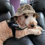 Robert Leckey - Facebook