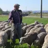 Robert Leberger - @robertleberger - TikTok