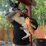 Robert Lee - @robertxlee - Instagram