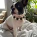 Robert Lee - Facebook