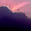 robertleeveronika948 - @robertleeveronika948 - TikTok