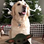 Robert Lehnhardt - @robertlehnhardt - Instagram