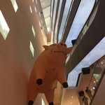 Robert Leibig - @robertleibig - Instagram