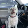@robert leidy - @robert.leidy4 - TikTok