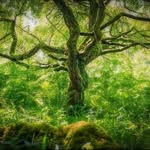 Robert leishman - @robert_leishman_photoart - Instagram