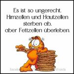 Robert Leitner - @robert.leitner.1272 - Instagram