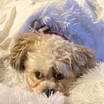Robert Elling - @robertlelling - Instagram