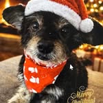 Bobbie Paulmeier LeMaster - @roberta.lemaster - Instagram