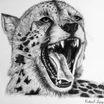 Robert Leng - @leng_creations - Instagram