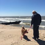 Robert Lenox - @bob.lenox - Instagram