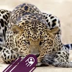 Robert Leopard - Facebook