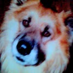 Robert Lesiak - @robert.lesiak.547 - Instagram