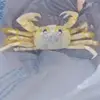 robertlevendusky7 - @robertlevendusky7 - TikTok