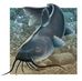 Bob Leverich - Facebook