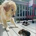 Robert Leverich - Facebook