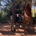 Robert Levy - @rlevy19 - Instagram