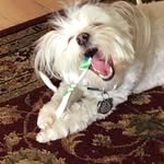 Robert Bob Lewellen - @lewellenrobertbob - Instagram
