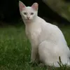 Robert Lia - @robertsearthvideos - TikTok