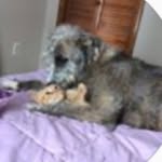 Robert likens - @reij47 - Instagram