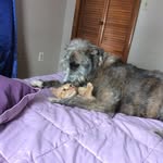 Robert Likens - @relj47 - Instagram