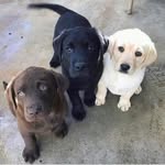 Robert Lile - @lile.robert - Instagram