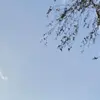 robertlindenberg8 - @robertlindenberg8 - TikTok