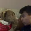 Robert Linderman - @robert.linderman - TikTok