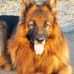 Robert Lauinger - Facebook
