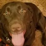 Robert Lingg Jr. - @linggjr.robert - Instagram