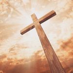 Robert Linneman - @linnemanrobert81 - Instagram