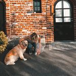 @roberta.lipski - Instagram