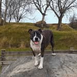 Bob friend - @robert.lisa217 - Instagram
