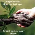 ROBERTO LITHGOW - @robertico_lithgow - Instagram