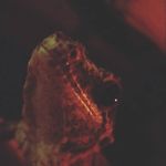 Robert Littler - @robertlittler93 - Instagram