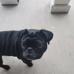Robert Litton - @littonbobby2022 - Instagram