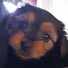 Robert Henry locker - @robertlocker - TikTok