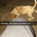 Robert Lofton - Facebook