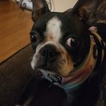 Robert Lofton - @robert4lofton - Instagram