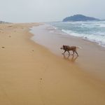 Robert Lomas - @robert.lomas.75 - Instagram