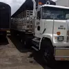 robertolondoo - @robertolondoo - TikTok