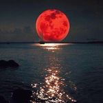 Robert John Longstreet - @robertlongstreet - Instagram