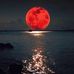 Robert John Longstreet - Facebook