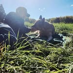Robert Longworth - @robertlongworth - Instagram