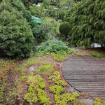 Robert Loos - @robert.loos - Instagram