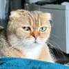 Robert - @loranzo.robert - TikTok